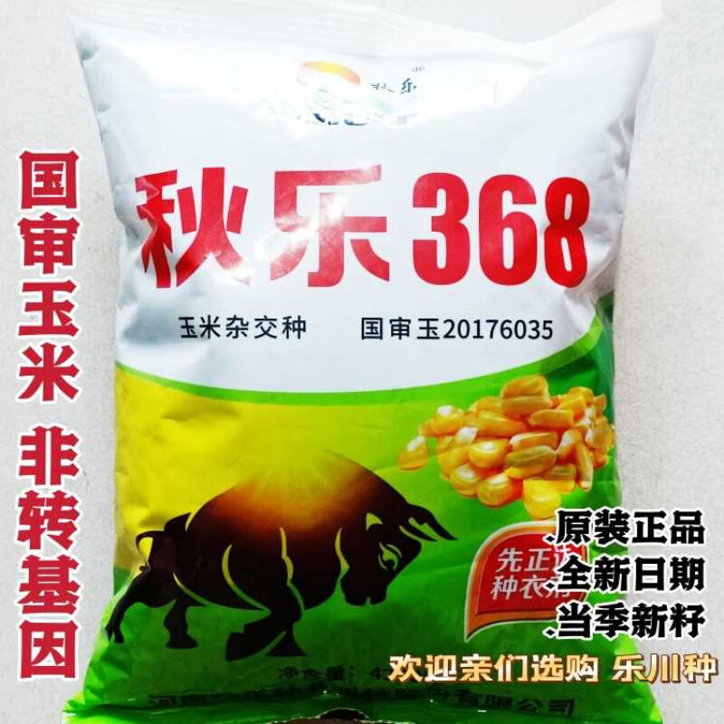 麦基乐春播丰产大田玉米种子秋乐368抗倒矮杆杂交白轴玉米种籽国审