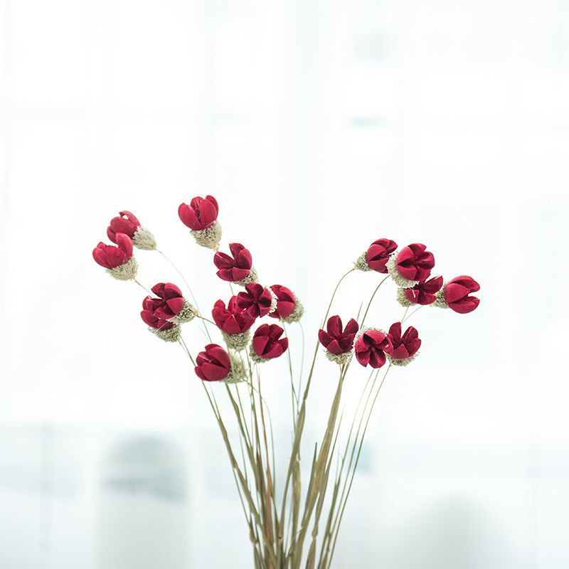 ins风干花花束家居摆设小清新勿忘我插花网红装饰品满天星永生花 18枝