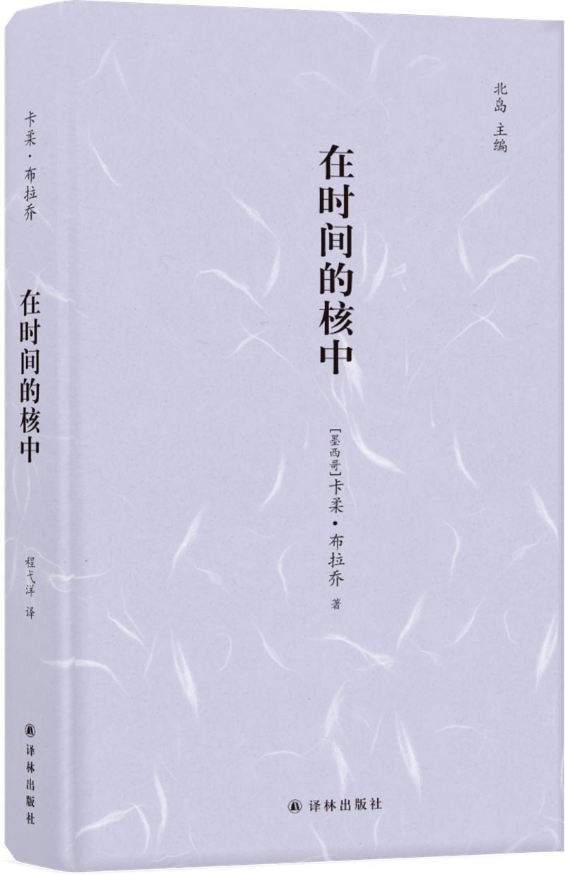 在时间的核中/(墨西哥)卡柔.布拉乔/镜中丛书卡柔·布拉乔译林出版社9787544778855 文学高性价比高么？