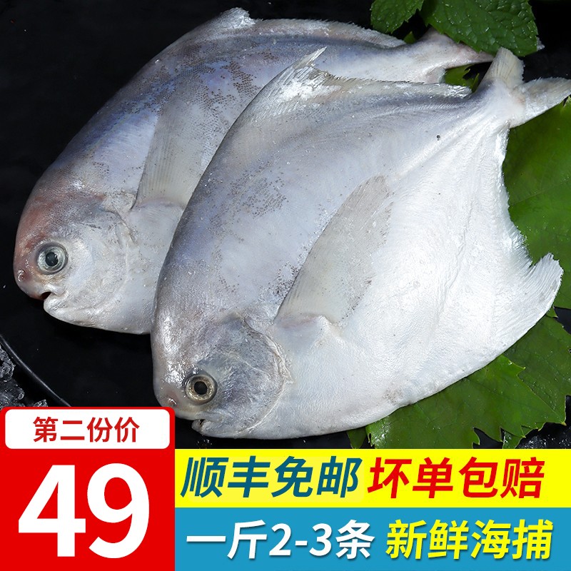 尚致【2份更划算】东海银鲳鱼昌鱼鲜活海鲜500g 2-3条 袋装 平鱼 海鲜水产生鲜鱼类 银鲳鱼