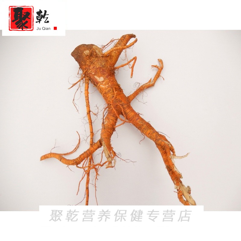 【享元旦价】新鲜老桑树根老桑头材桑白皮桑根皮老桑树根皮煲汤料桑根