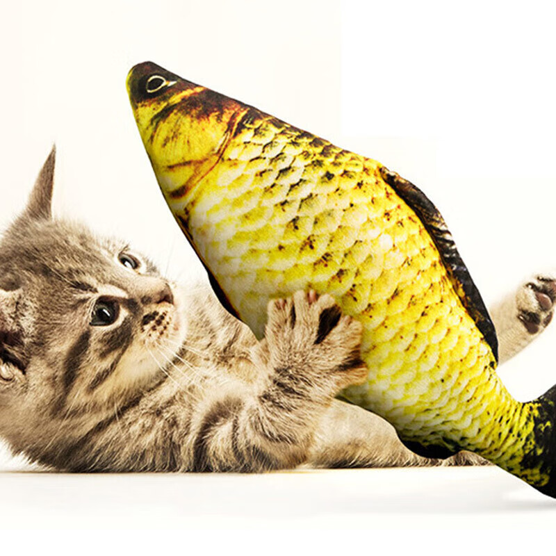 ������԰è�����è���ɶ�èè����������è�������è������߷ǵ綯HD