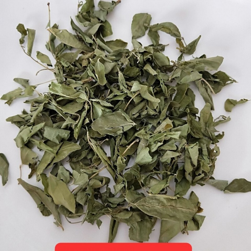 东方睡叶深山酸枣叶茶 酸枣茶 嫩叶 酸枣叶 100克250克500克 100克
