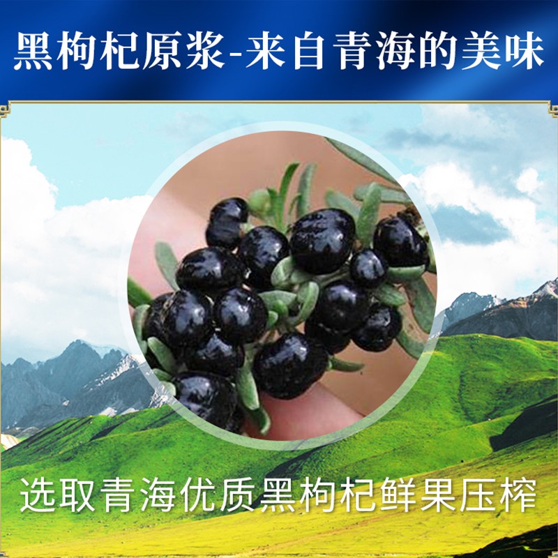 杞硕 黑枸杞原浆鲜果黑构拘杞子原浆汁液枸苟纪饮品过节送礼物 黑枸杞原浆1盒(50ml*10瓶)