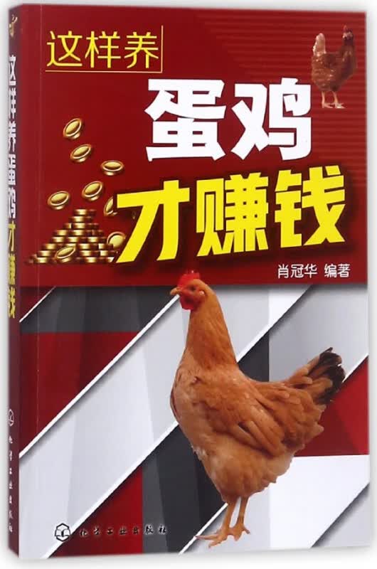 这样养蛋鸡才赚钱