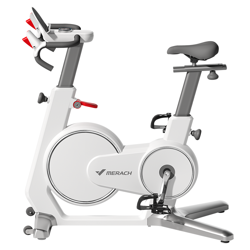 麦瑞克智能动感单车：享受无与伦比的健身体验！|京东查询动感单车历史价格