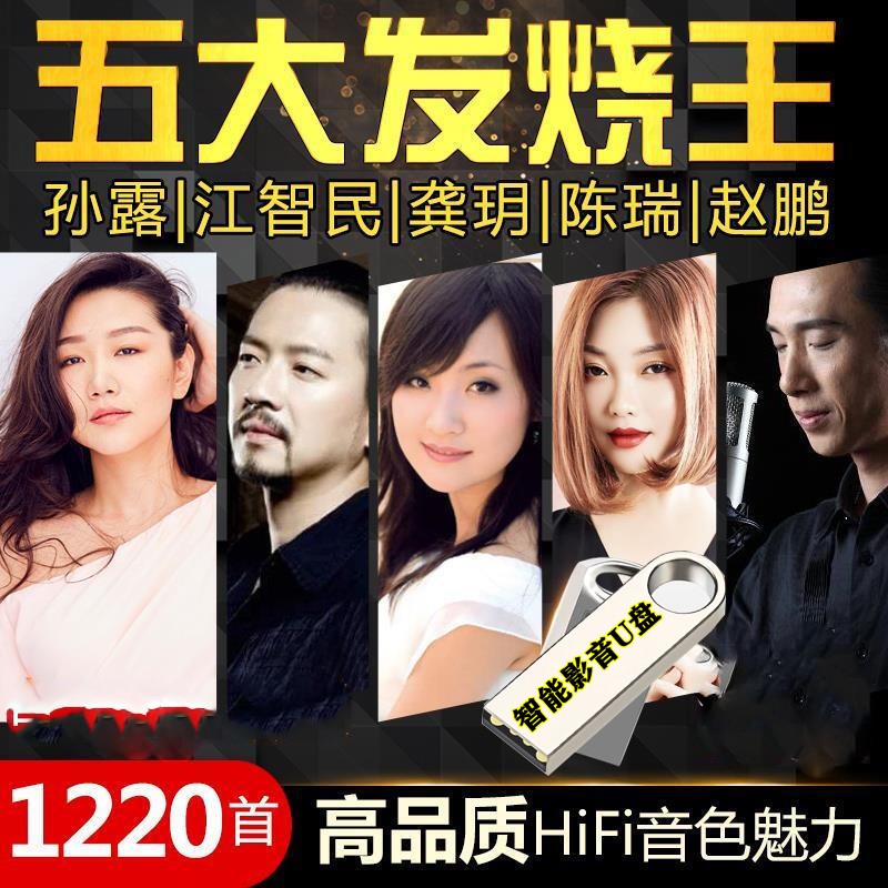 1220首五大发烧王男女歌手声音乐u盘孙露江智民龚玥陈瑞赵鹏CD无损高音质汽车载影音乐U盘内存卡 1220首高品质无��HIFI汽车载影音U盘