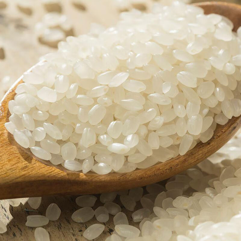 东北大米黑龙江特产松花江原产地香米珍珠米圆粒新米 东北香米10斤()