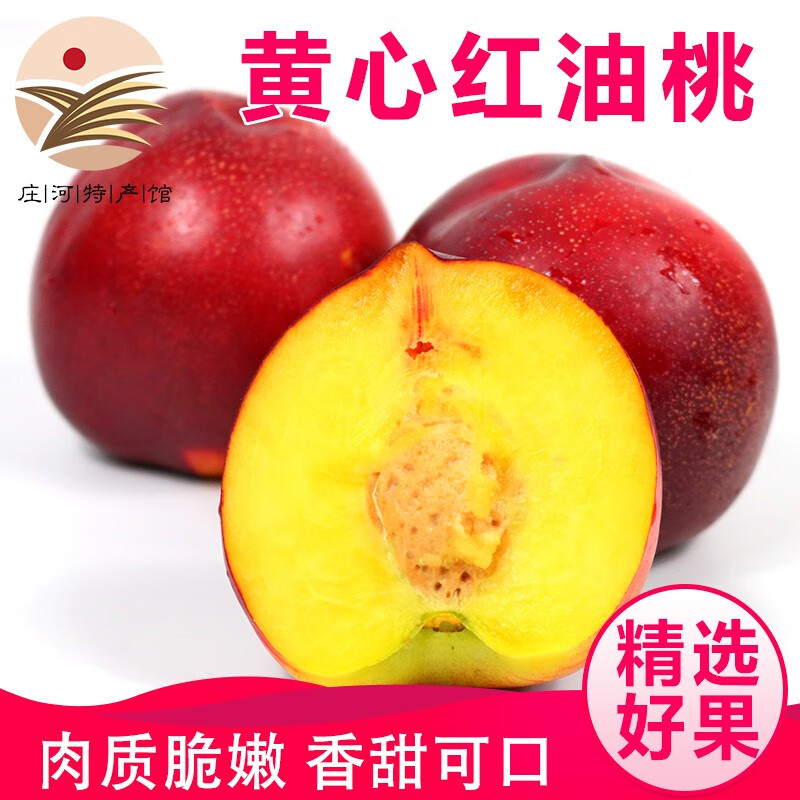 鲜姿 大连红油桃丑黄肉油桃子鲜果丑桃油桃子生鲜礼盒当季新鲜水果 油桃4.5斤【单果约100-150g】