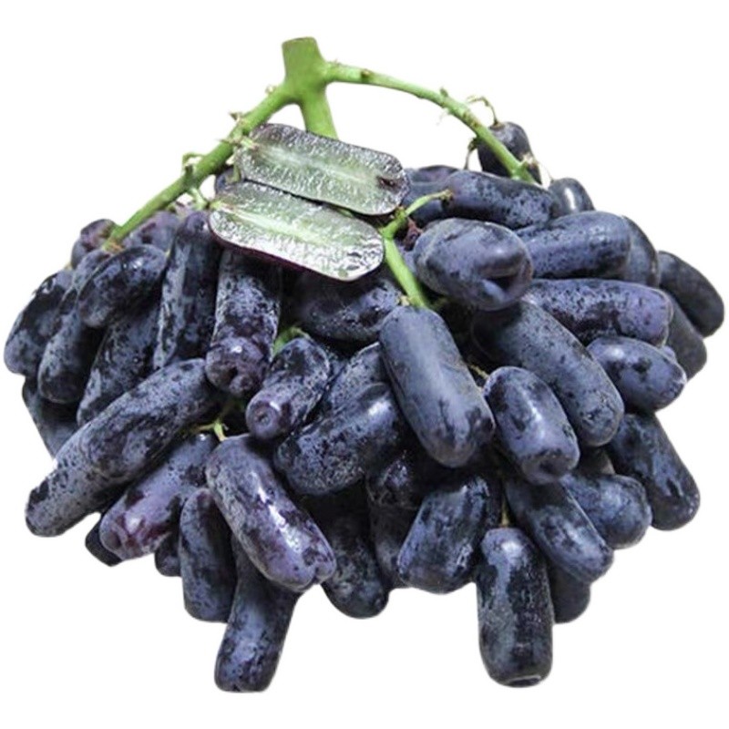 甜芋果月金手指葡萄水果孕妇当季无籽提子 2斤