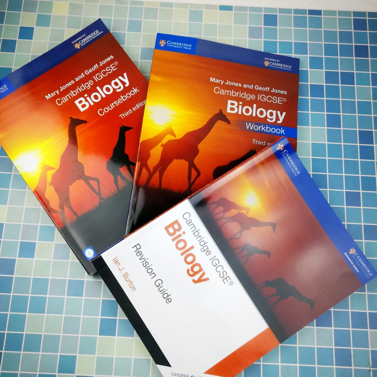 二手书9成新igcse生物教材 辅导书 练习册cambridge igcse biolog