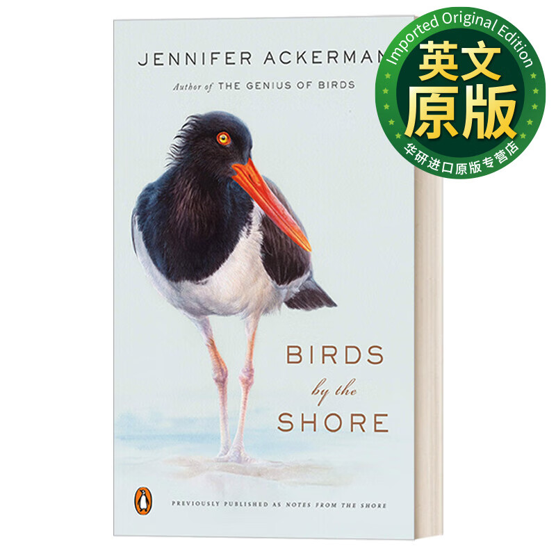 birds by the shore 岸边的鸟类 观察大西洋海岸的自然生活 自然科普