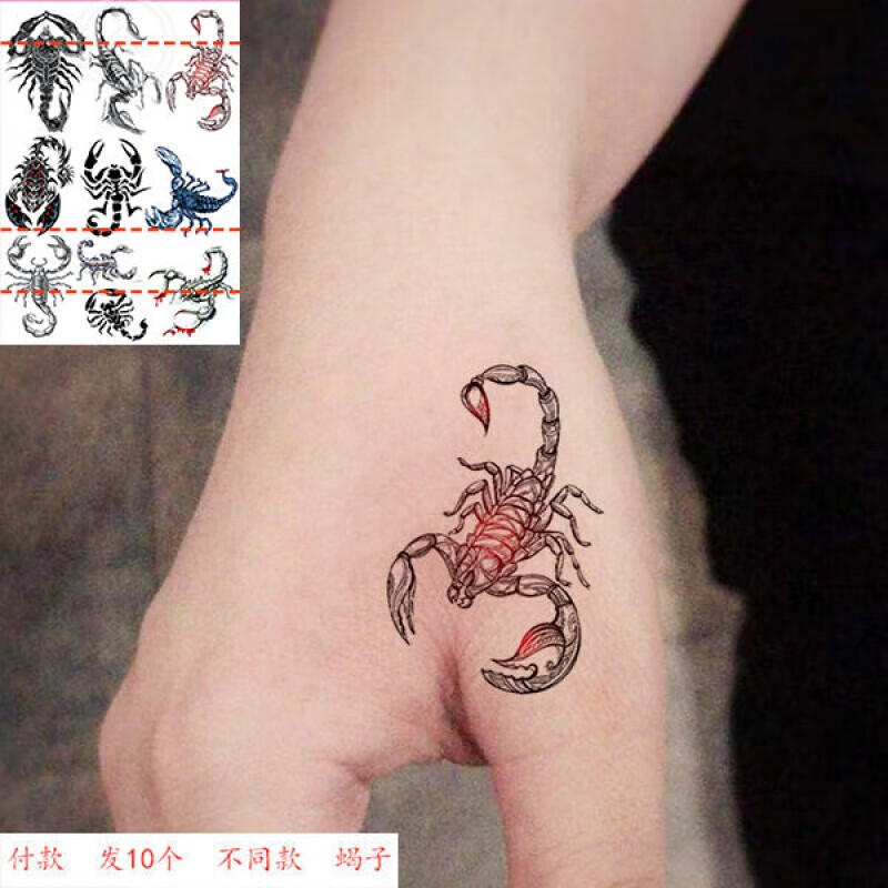 vieruodis虎口手背蝎子图腾纹身贴纸男女款手臂虎口贴画防水仿真假
