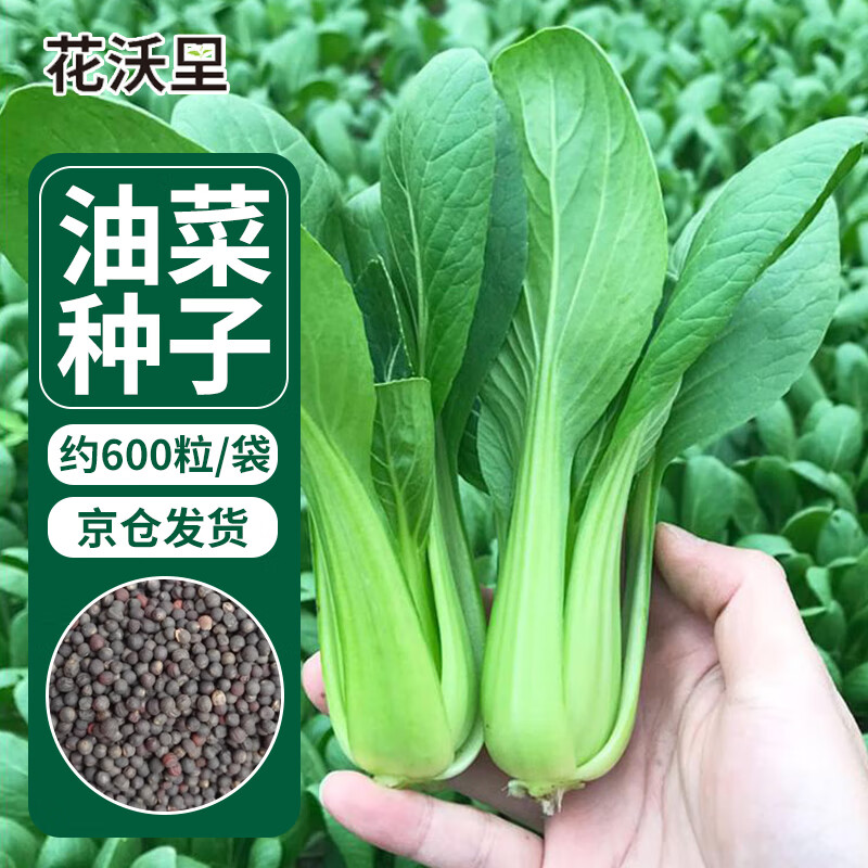 怎么看蔬菜类物品的历史价格|蔬菜类价格历史