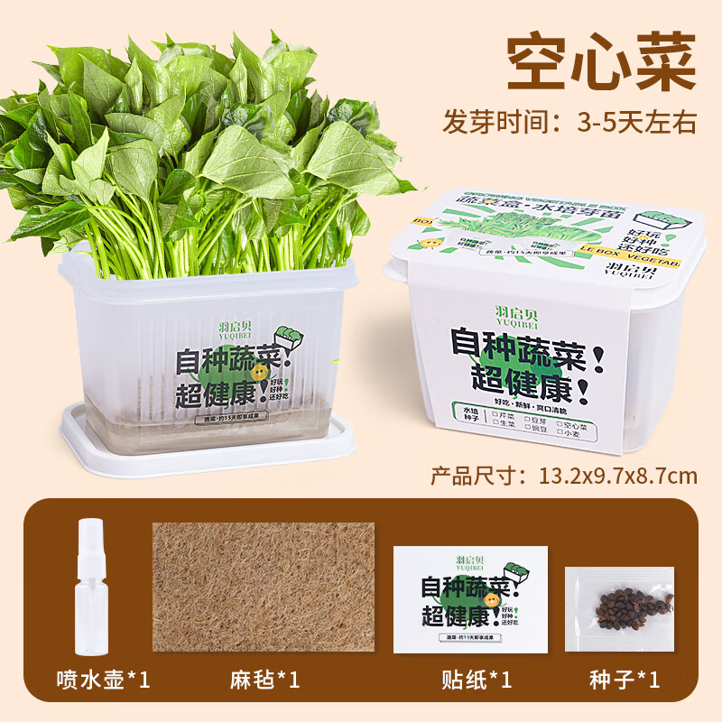 种植水培盆栽育芽苗盒蔬菜生长套装 水培盆栽套装【空心菜】送喷壶