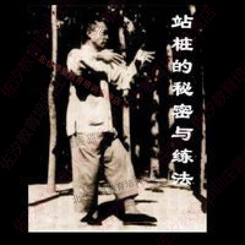 站桩的秘密与练法 太极桩功科学站桩方法与练法3碟视频 配套书籍 练法