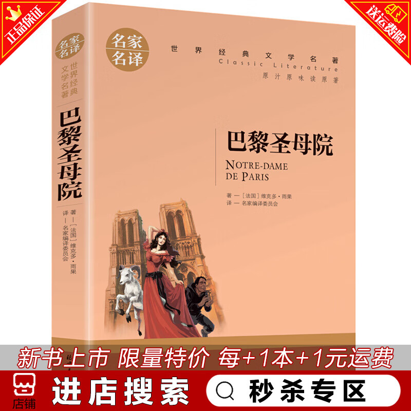秒杀专区 巴黎圣母院书 原著雨果 中学生
