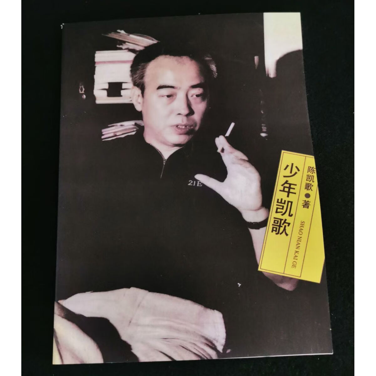 少年凯歌 陈凯歌自传