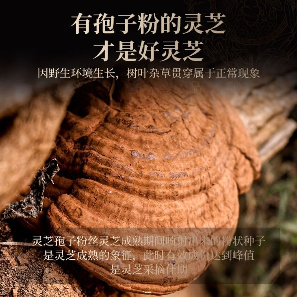 花色堂首单立减【精选大片】灵芝片赤灵芝紫灵芝安神泡茶煲汤长白山野生 黑灵芝片不苦[502.87克]+88.8