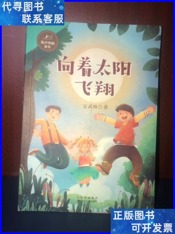 向着太阳飞翔安武林 北京出版集团二手书