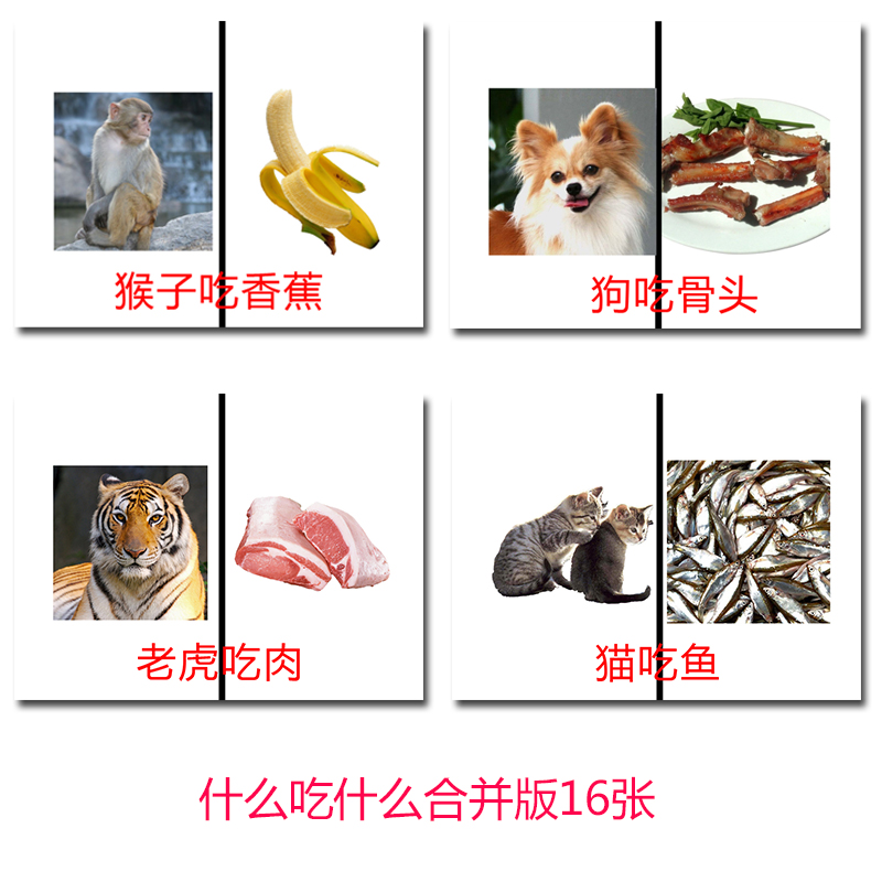 动物食物配对自闭症卡片孤独症语言表达康复训练教具什么吃什么卡