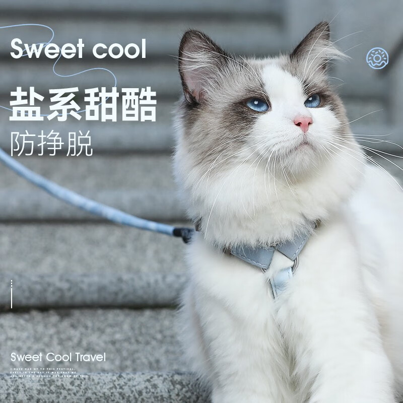 华元宠具（hoopet）猫咪牵引绳防挣脱外出专用遛猫绳子溜猫链子宠物胸背带可调节背心 落日橘-工字防挣脱 M胸围28-42cm