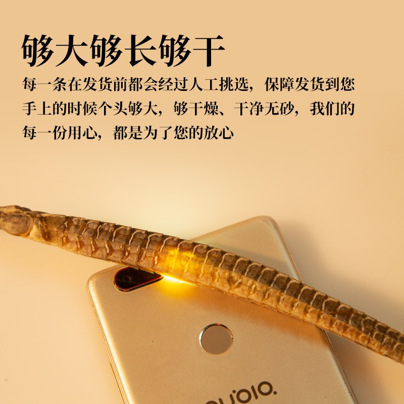 祁晓风海龙泡酒中药材补肾壮阳持久增大干煲汤男性滋补品营养品泡酒料 2只(大于10g单条足25cm)
