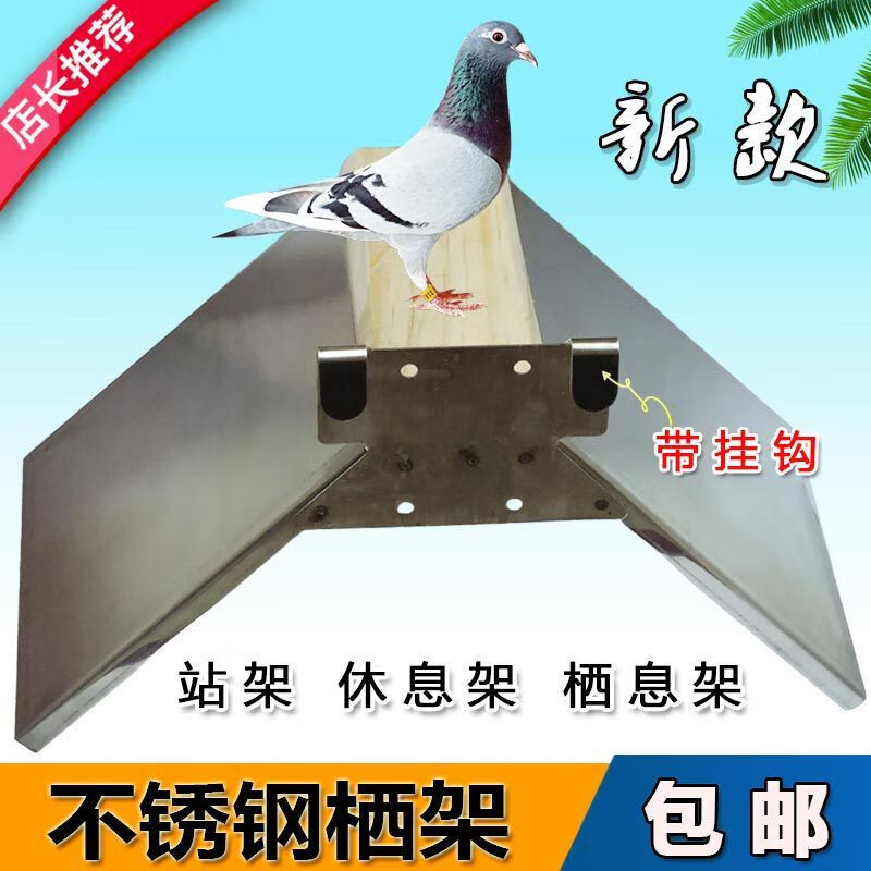鸽子用品用具信鸽息架实木支架塑料栖架赛鸽用品鸽子脚环栖息站架