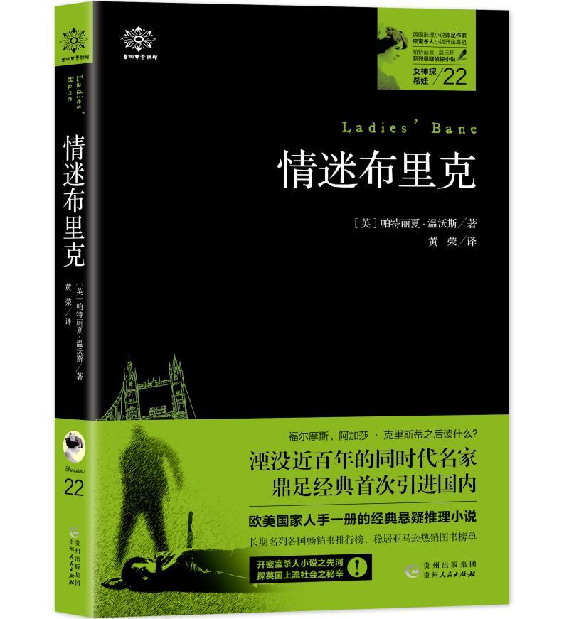 迷布里克小说  图书