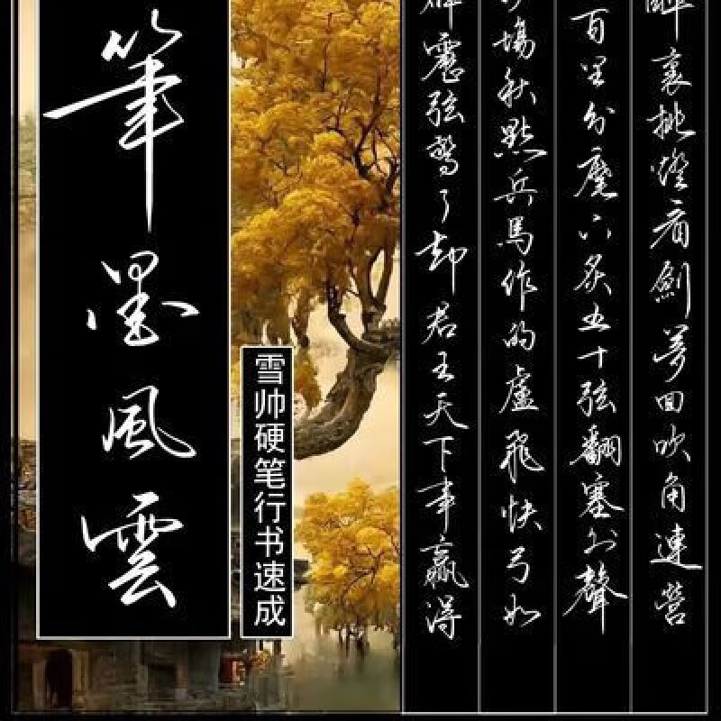 翰扎布笔寻常硬笔行书作品集精装雪帅手写字帖笔墨风云新版练 雪帅手