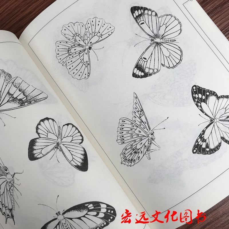 百蝶画谱蝴蝶 绘画书白描 工笔画白描底稿初学者中国画线描工蝴蝶