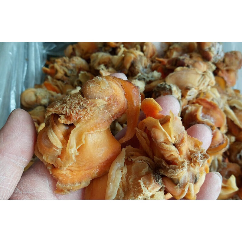 虎钢馋北戴河干海货特产血蛤干毛蚶子肉麻蚶子大赤贝肉干货海鲜