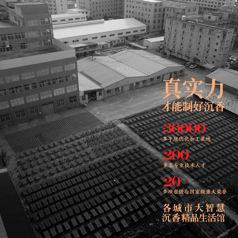 曾荣辉-点好香 环保无烟竹签香 天然檀香家用供佛观音财神仙家棒香 居家室内熏香供奉上香立香 天然檀香32.5cm/1000支/燃24分钟