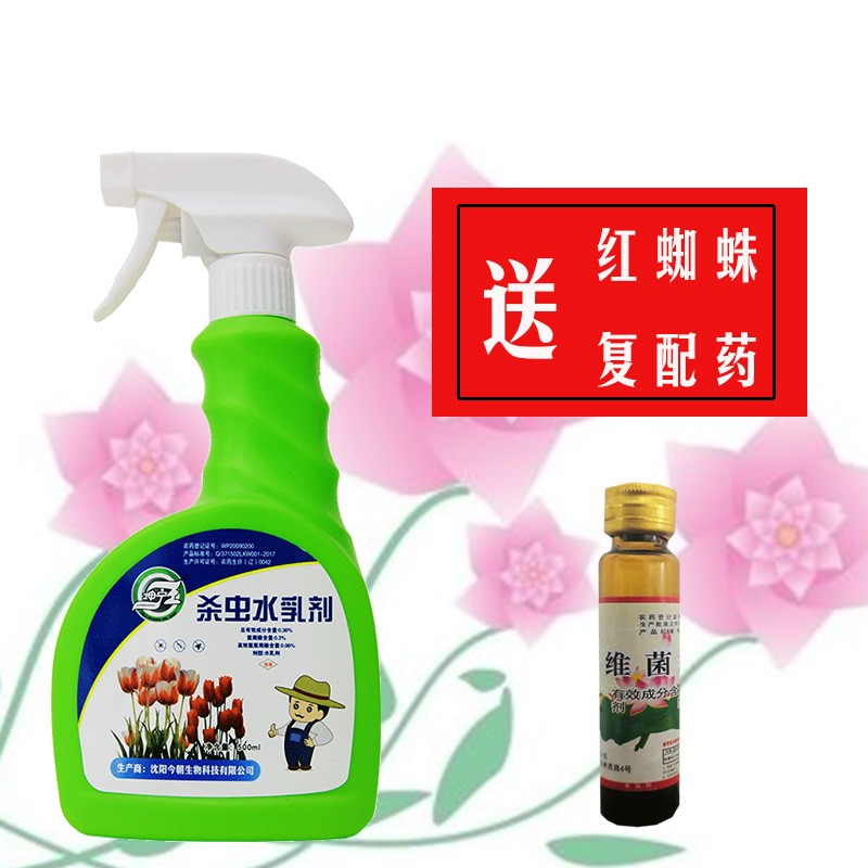 坤宁王花卉红蜘蛛杀虫剂植物杀虫喷剂家庭园艺花药家用白虱粉病蚜虫蚧