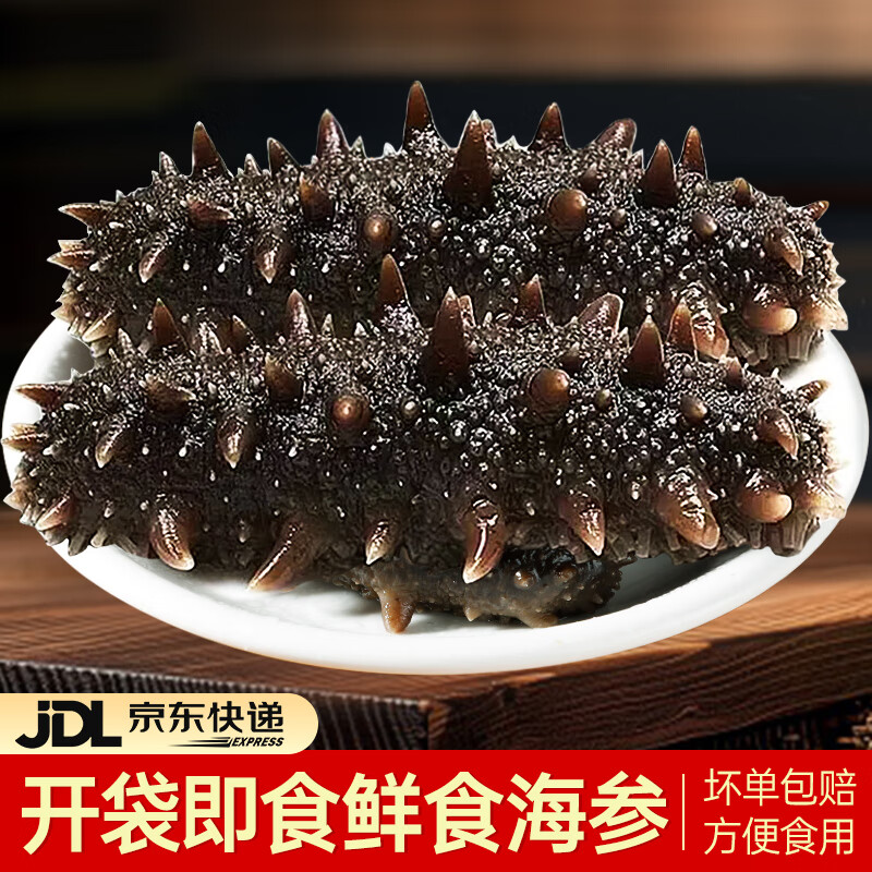 美风堂海参即食大连特产海参辽参非干货刺参海鲜21-30只500g