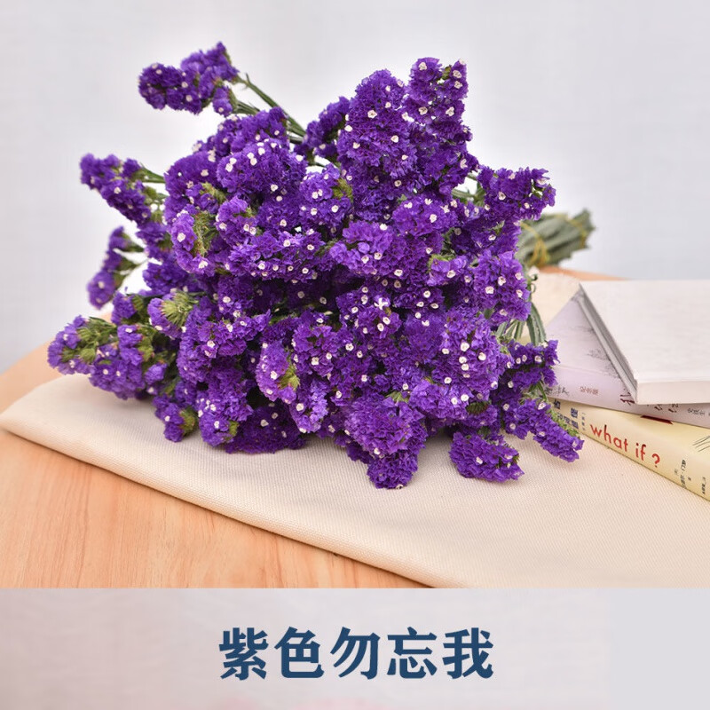紫色勿忘我 2斤(40支左右)