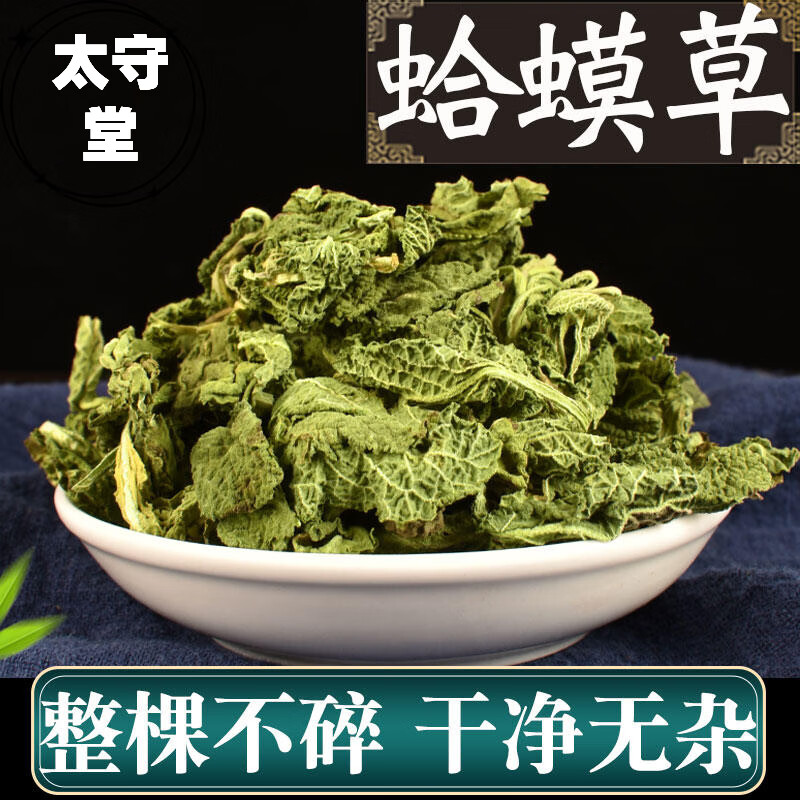 太守堂 蛤蟆草整颗 新鲜癞蛤蟆草干的荔枝草雪见草
