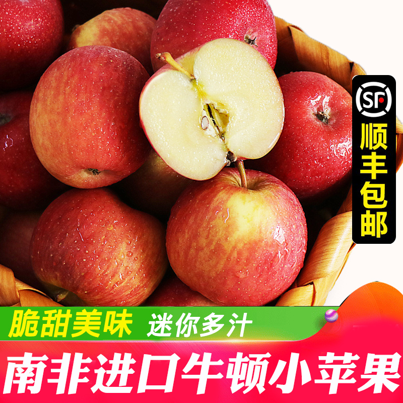 舅甜果蔬南非牛顿小苹果【现货/顺丰】新鲜水果 脆甜多汁进口迷你苹果
