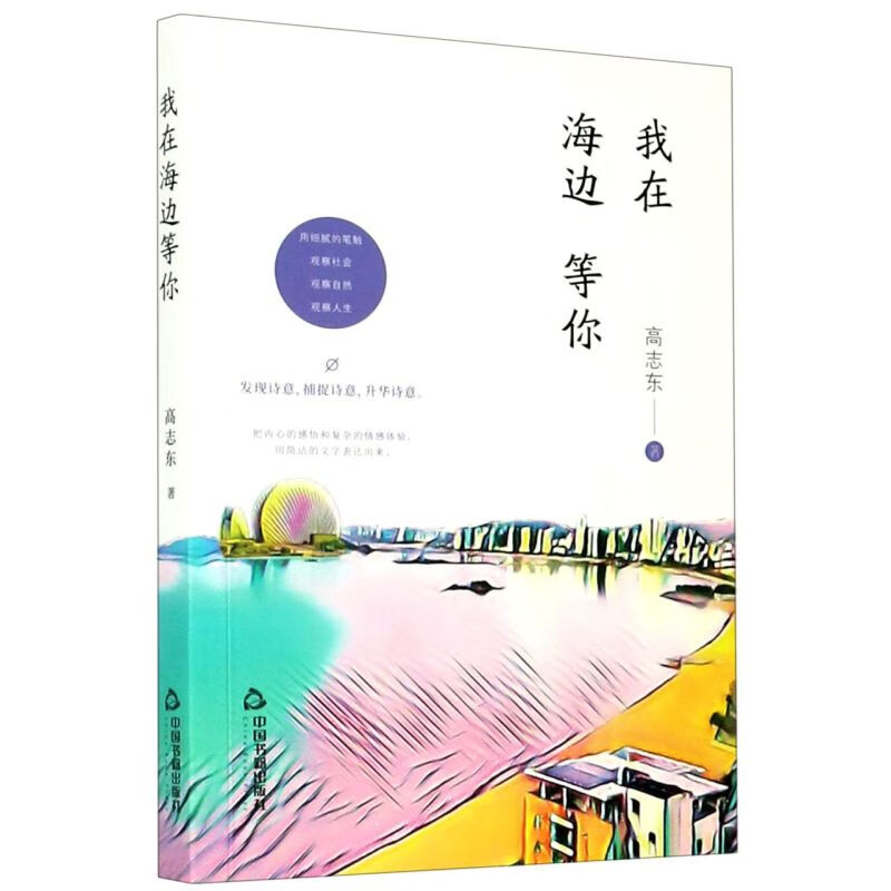 我在海边等你 高志东