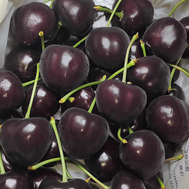 莆鲜艺树家俄8樱桃大连绿海农业俄罗斯八号俄八樱桃黑钻俄8车厘子2斤