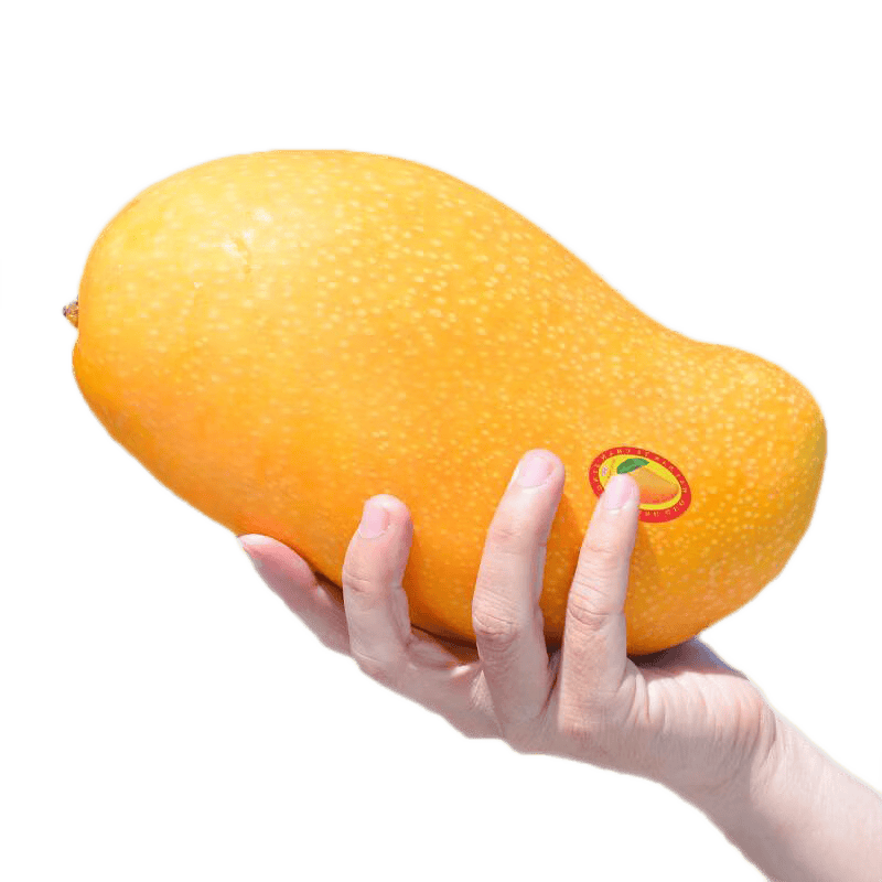 �׷� ���Ϲ���â�� 5��װ ����4.5�� ����150g-250g+ ������ժ 12.8Ԫ