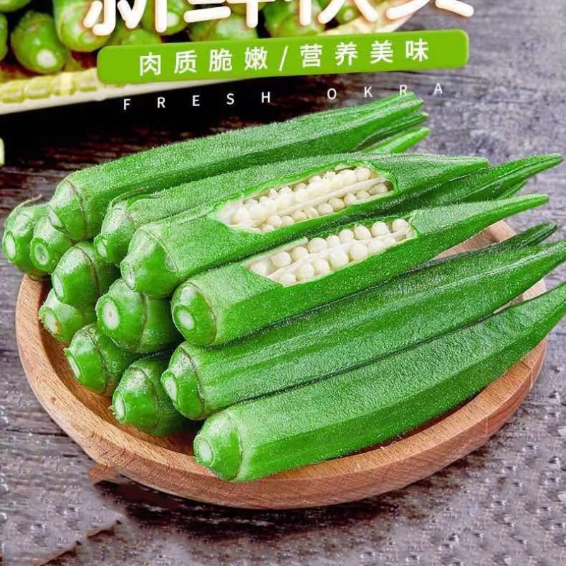 精选生鲜 现摘 现货极速 现摘特级秋葵蔬菜新鲜鲜嫩水果黄秋葵新鲜秋葵2斤 尝鲜 101 2 0评论 71 2元 30元券 精选果蔬 新鲜秋葵现摘现发 水果秋葵新鲜5 1斤鲜嫩黄秋葵新鲜蔬菜批发3斤新鲜秋葵经济装 114 2 0评论 84 2元 30元券 精选