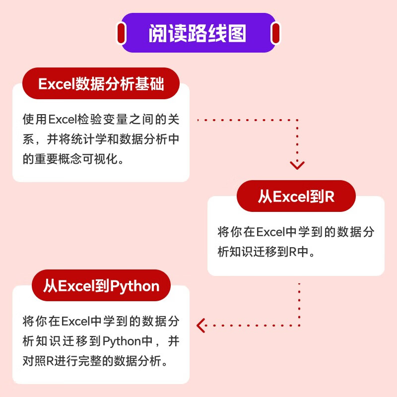 数据分析轻松进阶：从Excel到Python和R（图灵出品）