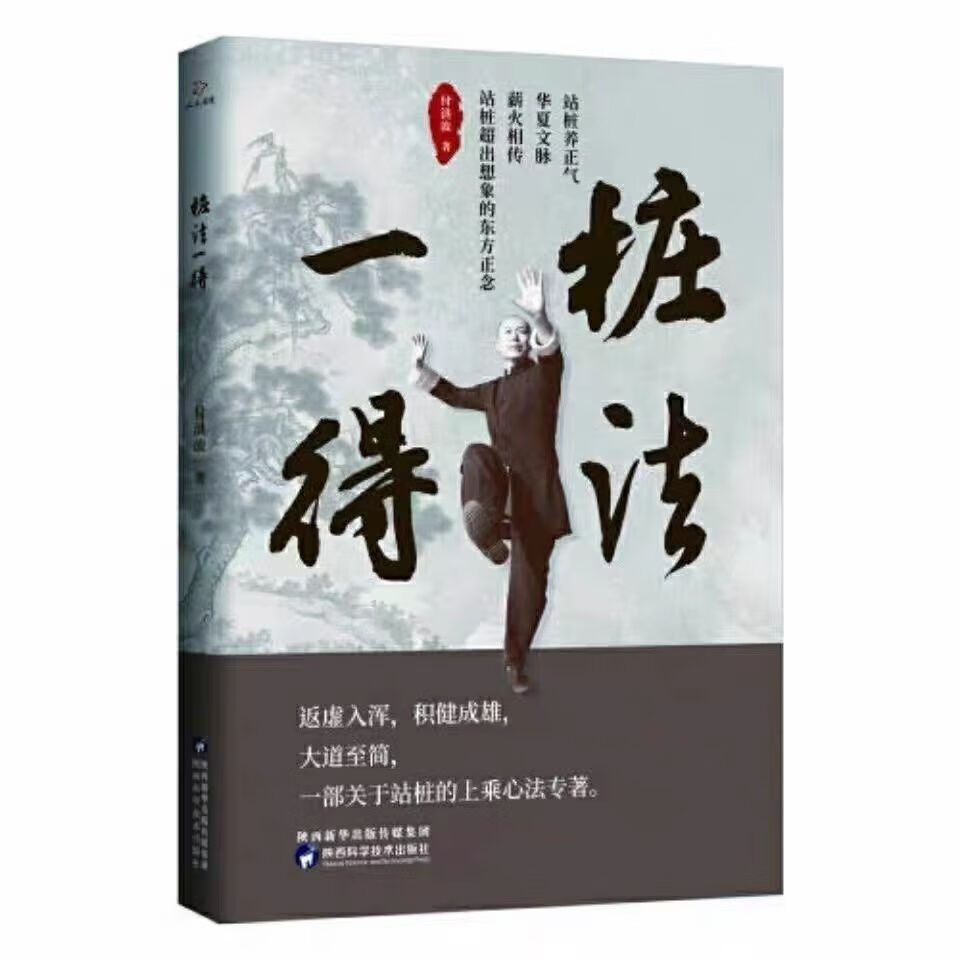 桩法一得 付洪波 著/9787536981546 通用