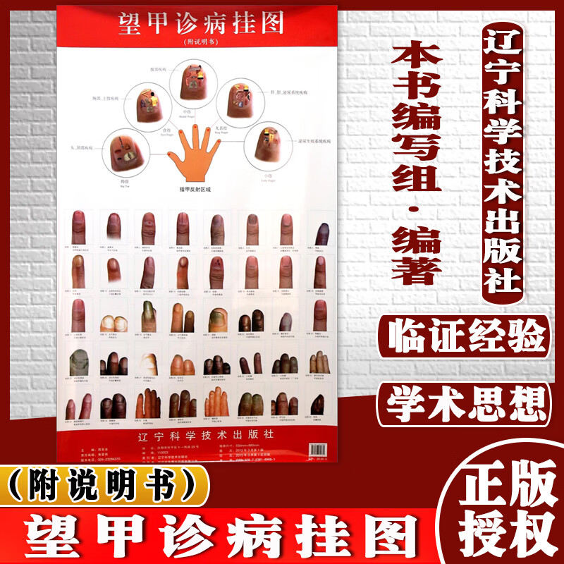 望甲诊病挂图(附说明书)辽宁科学技术出版社 9787538189681