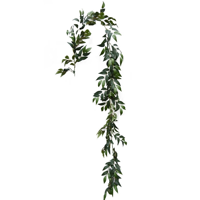荣弘发 植物装饰尤加利叶仿真藤条树藤树叶假叶子藤蔓植物柳叶绿 1.