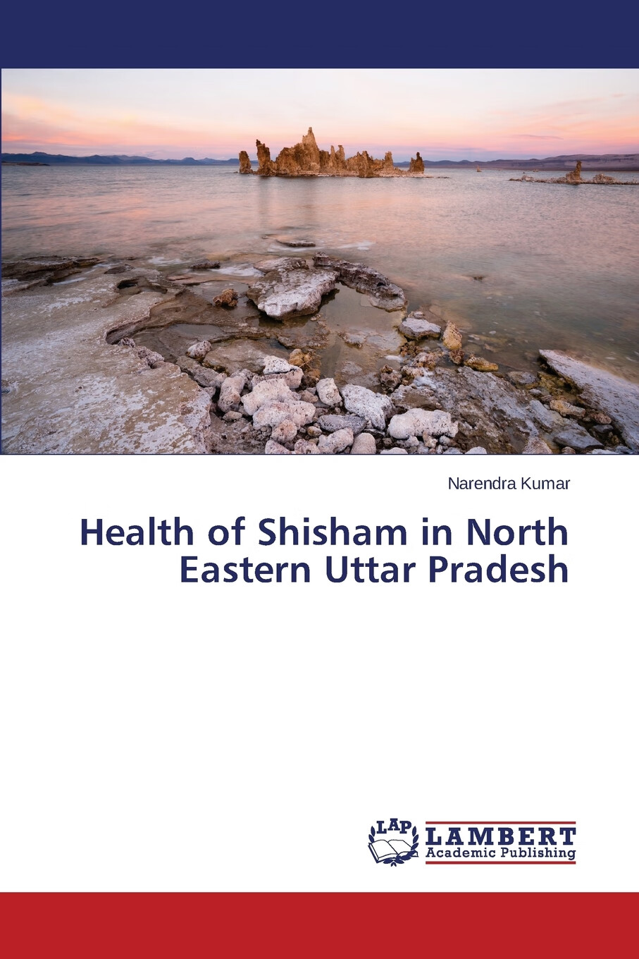 预售 按需印刷】health of shisham in north eastern uttar pradesh