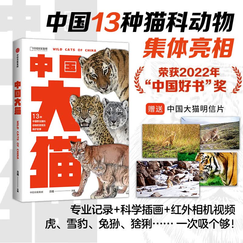 【赠送明信片】中国大猫 中国国家地理虎 雪豹 兔狲 荒漠猫等13种中国野生猫科动物的发展及保护故事 无穷小亮推荐