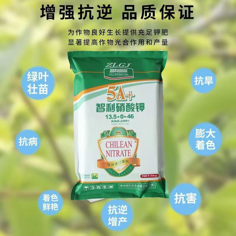 盛辰大量元素硝酸钾冲施滴灌叶面喷施水溶肥农用硝态氮高钾肥料 整箱