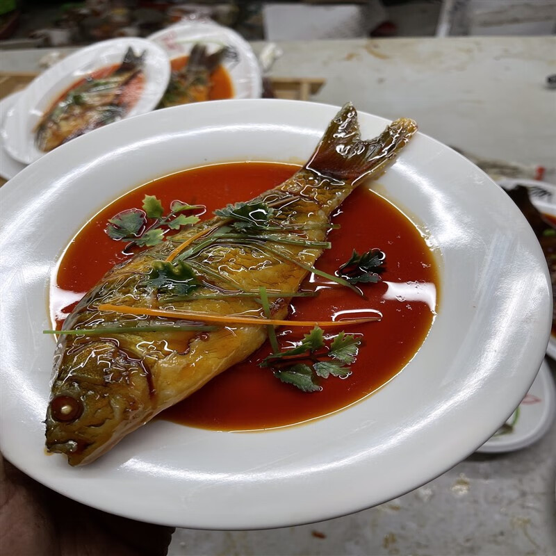 兴屹仿真菜菜品模型食品模型磨具餐饮酒店点餐样品菜影视拍摄表演道具